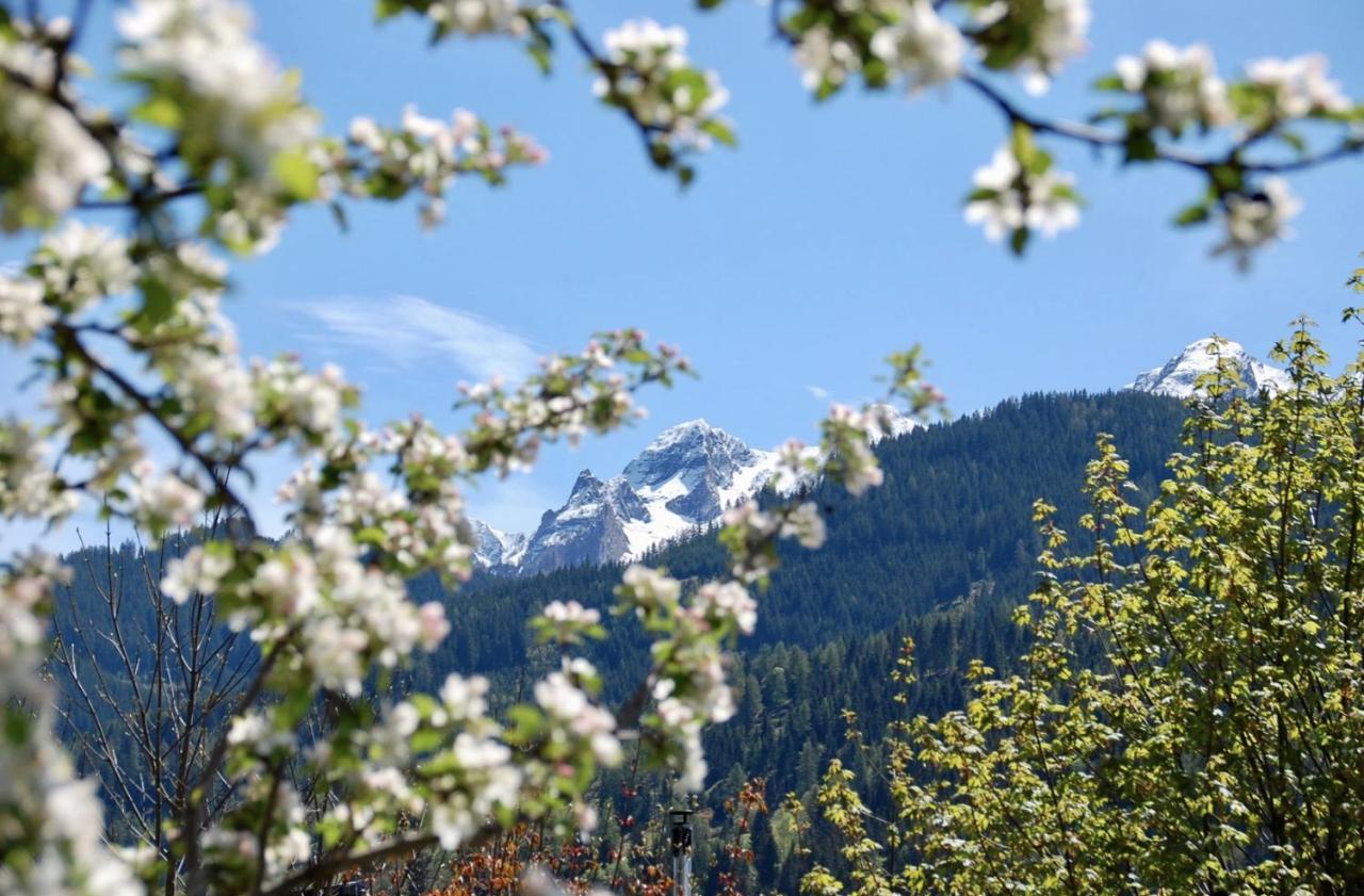 פוש אן דר גלוקנשטראסה Landhaus Bergner Alm מראה חיצוני תמונה