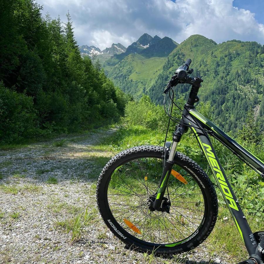 פוש אן דר גלוקנשטראסה Landhaus Bergner Alm מראה חיצוני תמונה