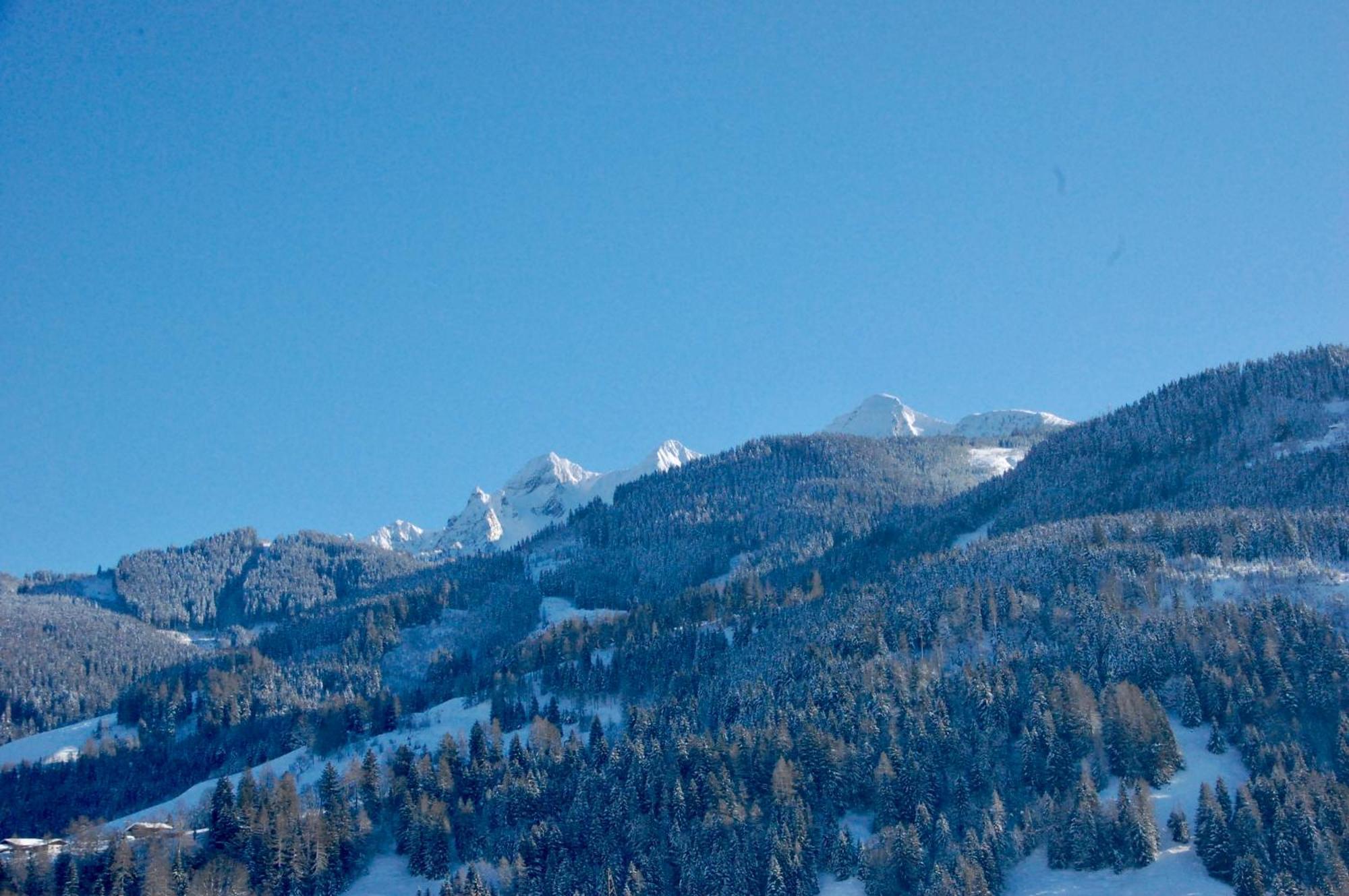 פוש אן דר גלוקנשטראסה Landhaus Bergner Alm מראה חיצוני תמונה