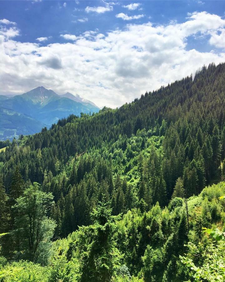 פוש אן דר גלוקנשטראסה Landhaus Bergner Alm מראה חיצוני תמונה